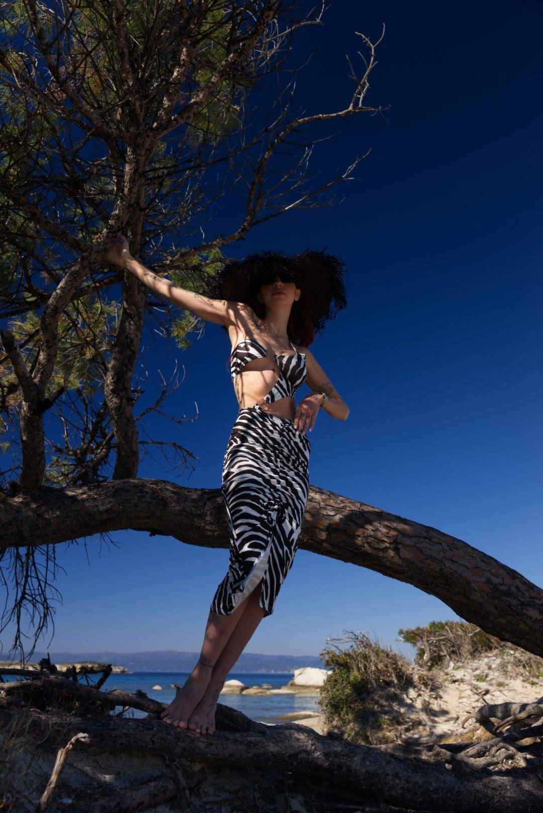 Monokini zebra print - Andreakou Concept Store