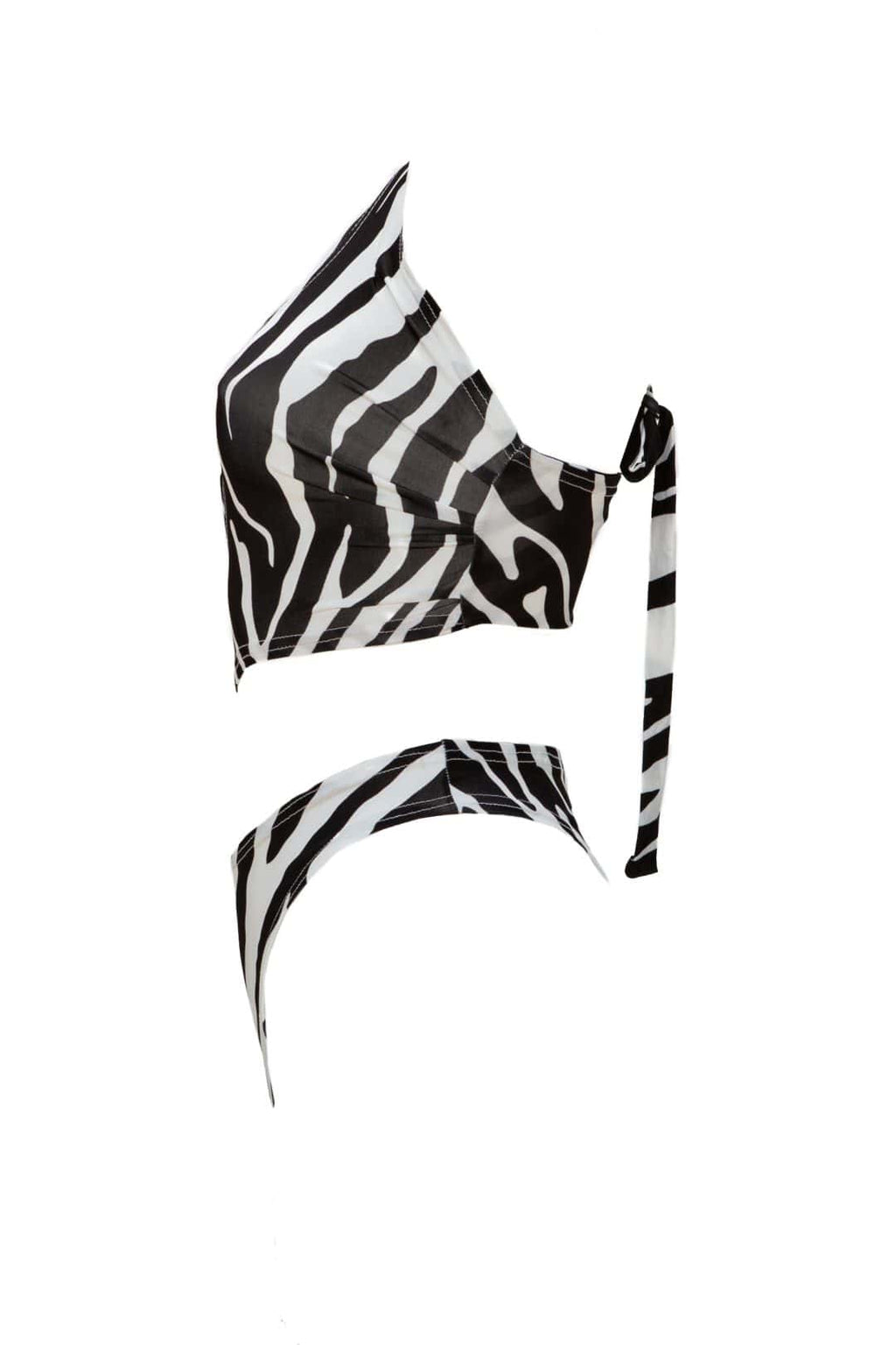 Monokini zebra print - Andreakou Concept Store
