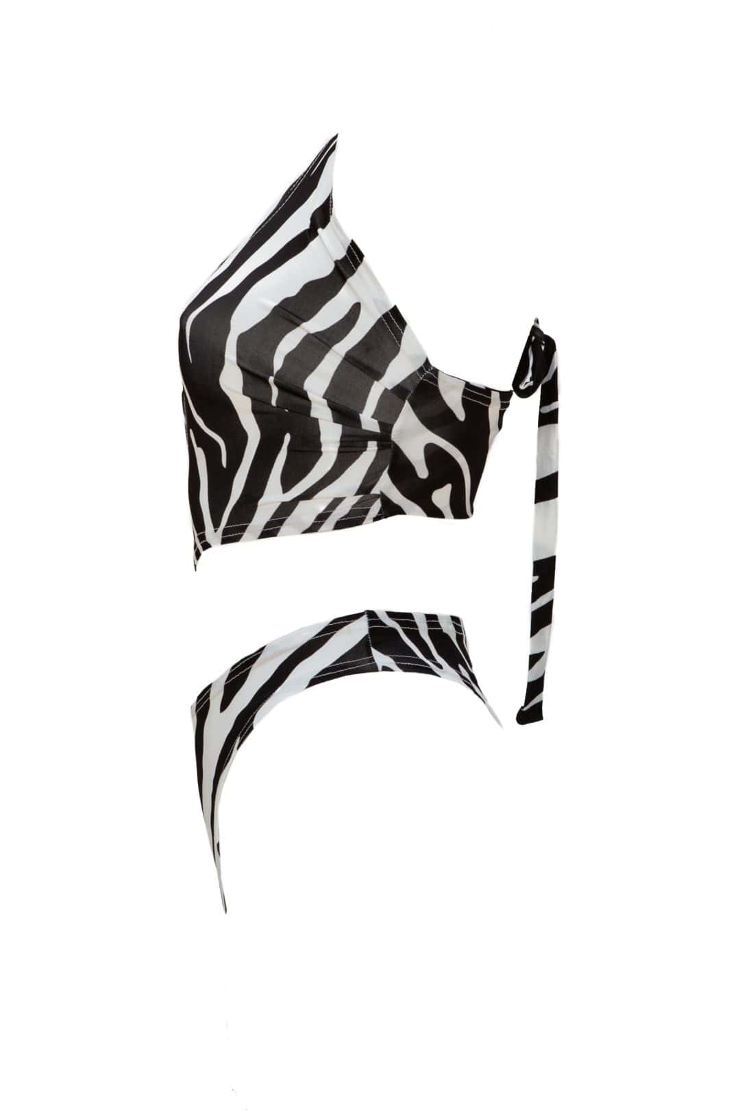 Monokini zebra print - Andreakou Concept Store
